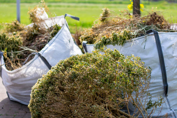 Best Hoarding Cleanup  in Longview, WA